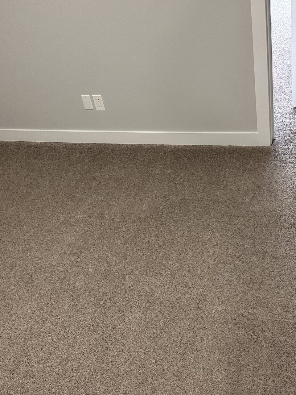 Freshly deep-cleaned carpet in a bright, empty room