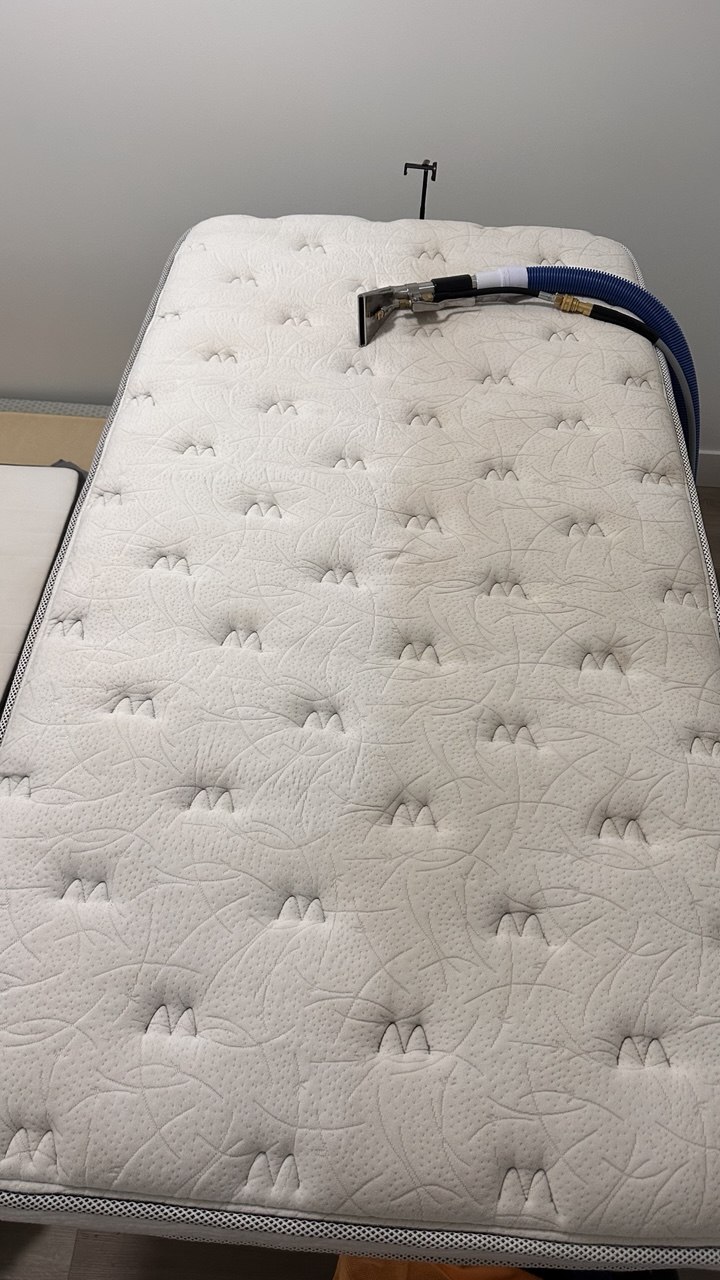 Mattress being deep-cleaned with a Softify extraction tool