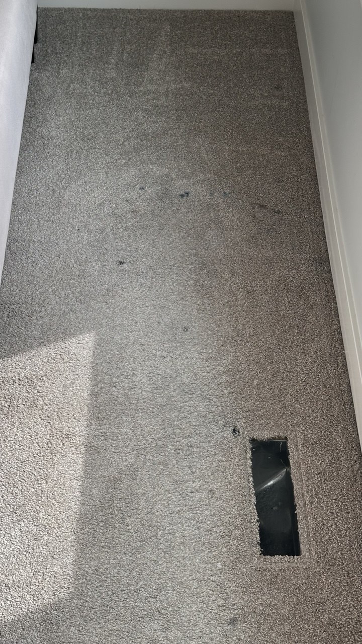 Stained, spotted bedroom carpet before cleaning